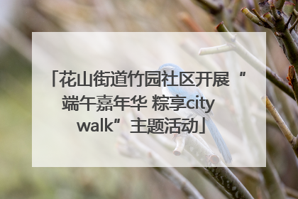 花山街道竹园社区开展“端午嘉年华 粽享city walk”主题活动